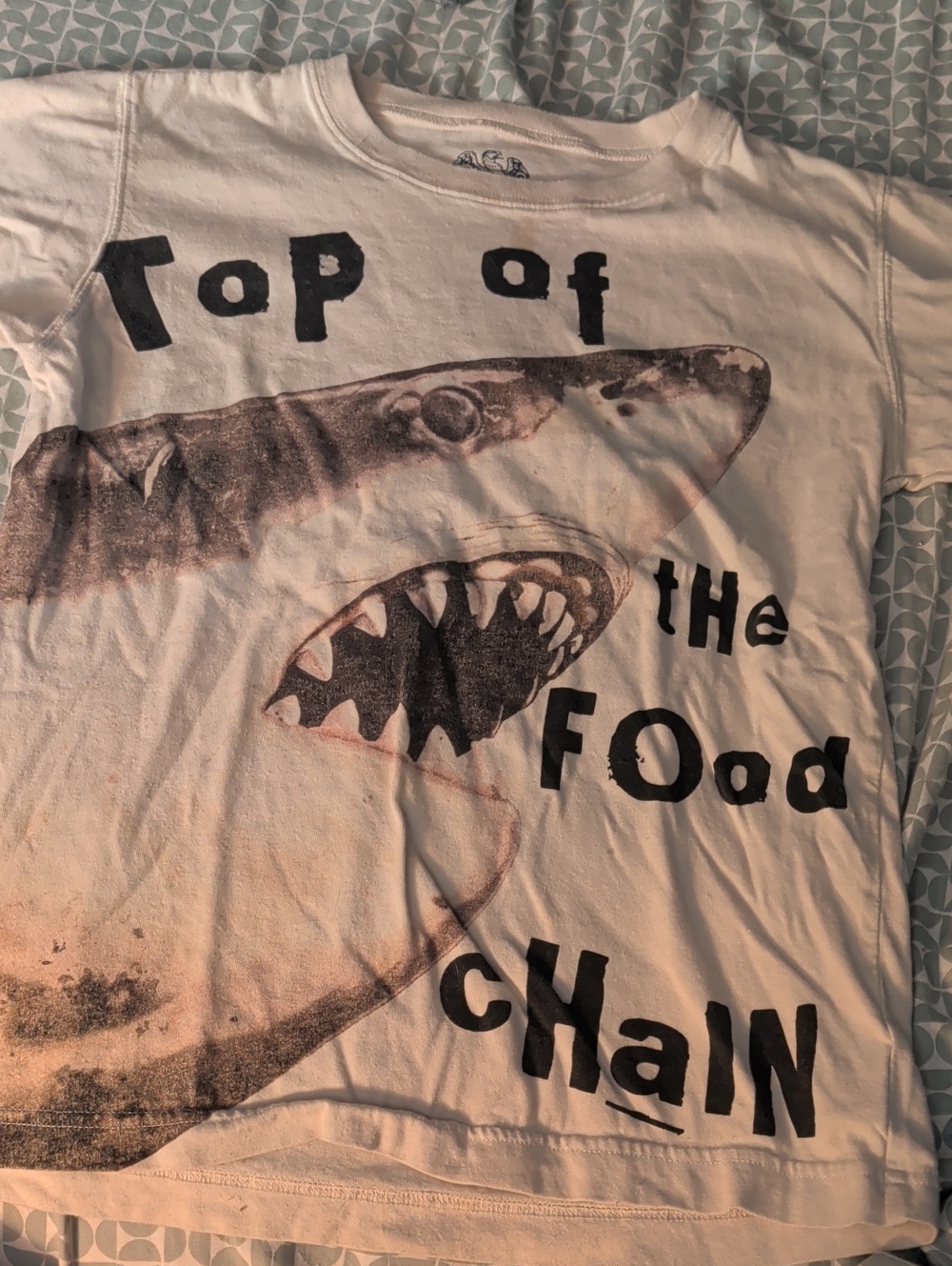 Wes & Willy Shark Graphic Tee - Boys Small S 7-8